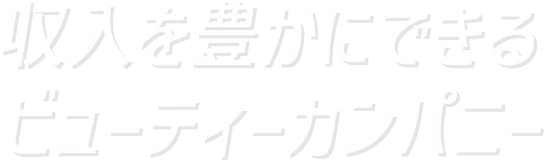 収入を豊かにできるビィーティーカンパニー